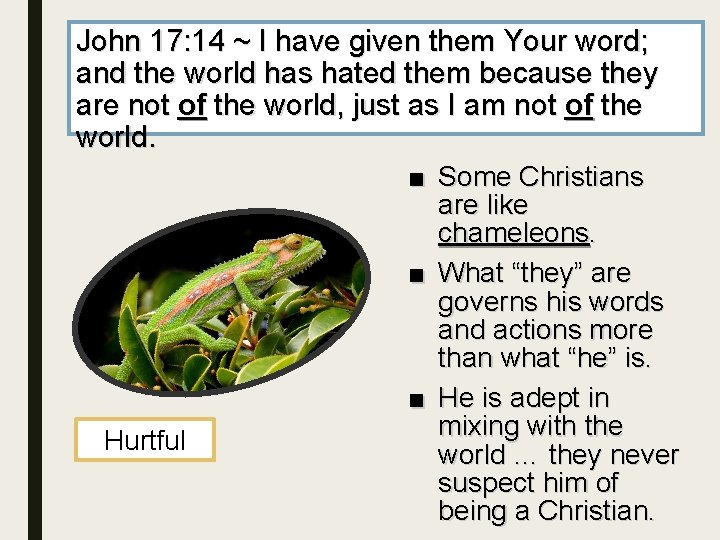 John 17: 14 ~ I have given them Your word; and the world has