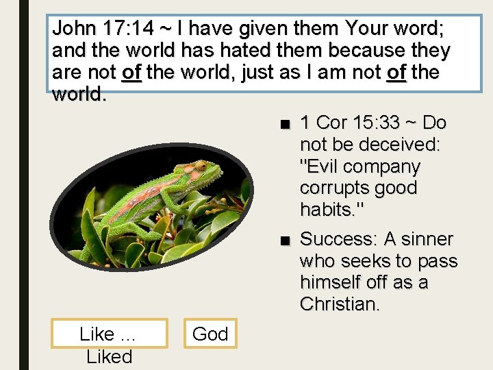 John 17: 14 ~ I have given them Your word; and the world has