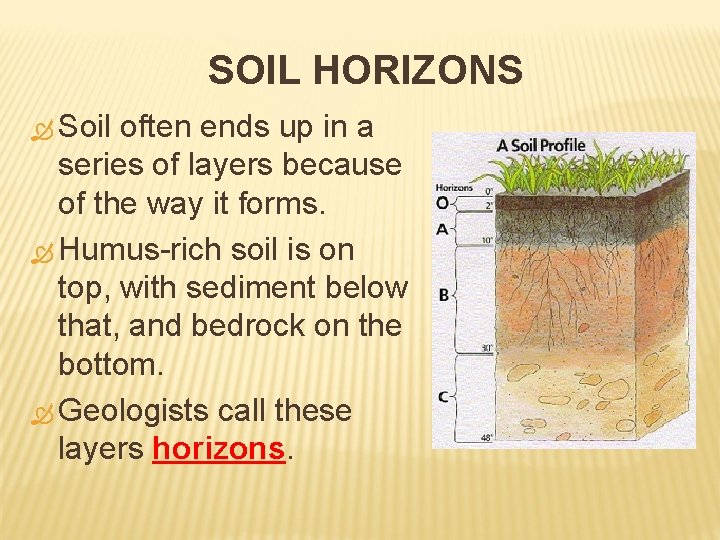 SOIL HORIZONS Soil often ends up in a series of layers because of the