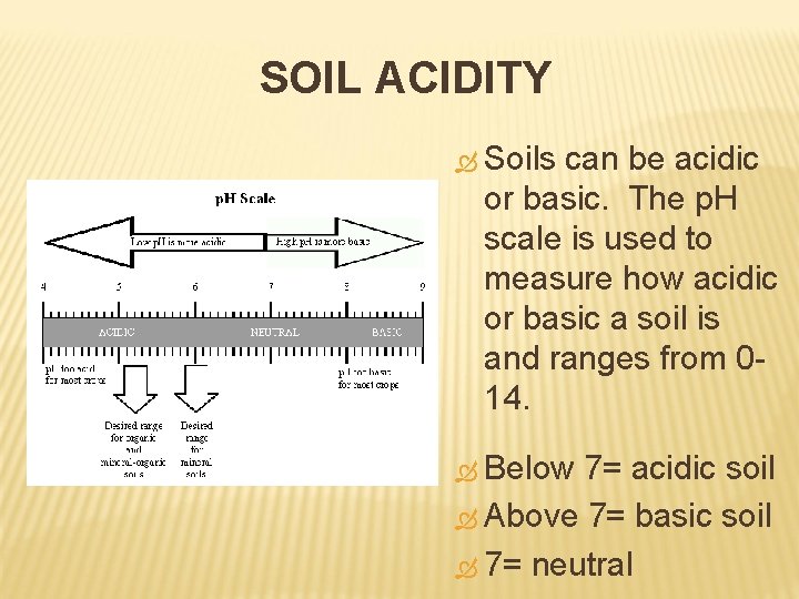 SOIL ACIDITY Soils can be acidic or basic. The p. H scale is used