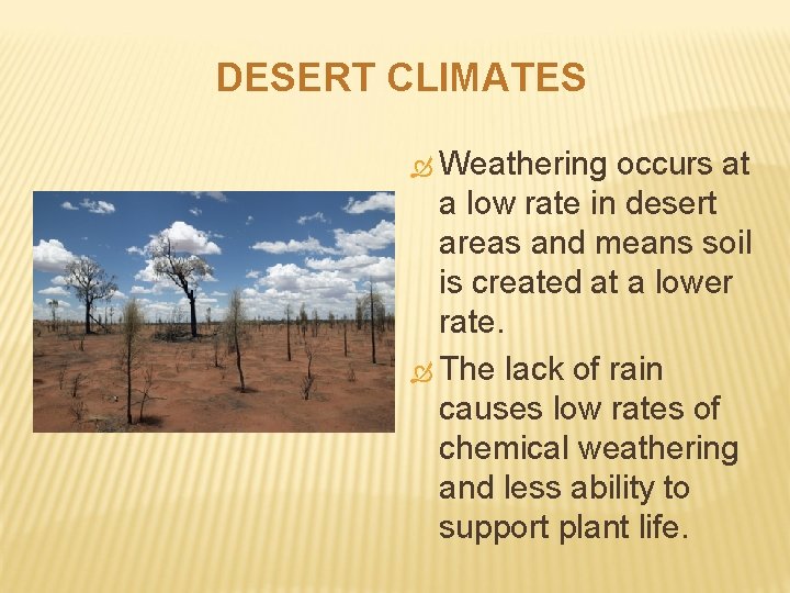 DESERT CLIMATES Weathering occurs at a low rate in desert areas and means soil