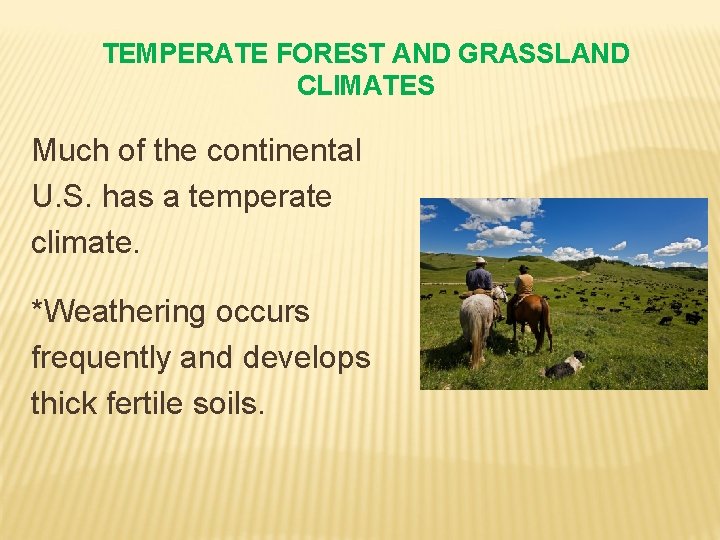 TEMPERATE FOREST AND GRASSLAND CLIMATES Much of the continental U. S. has a temperate