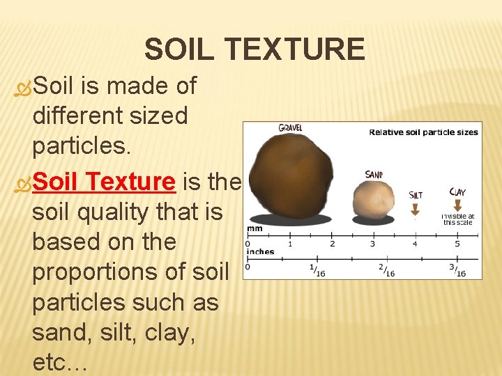 SOIL TEXTURE Soil is made of different sized particles. Soil Texture is the soil