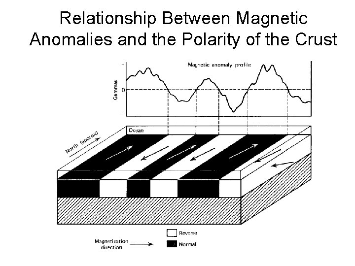 Relationship Between Magnetic Anomalies and the Polarity of the Crust 