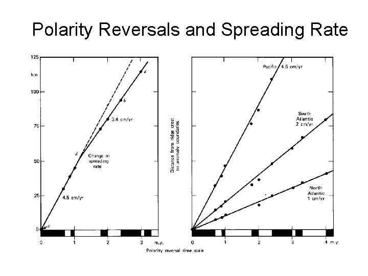 Polarity Reversals and Spreading Rate 