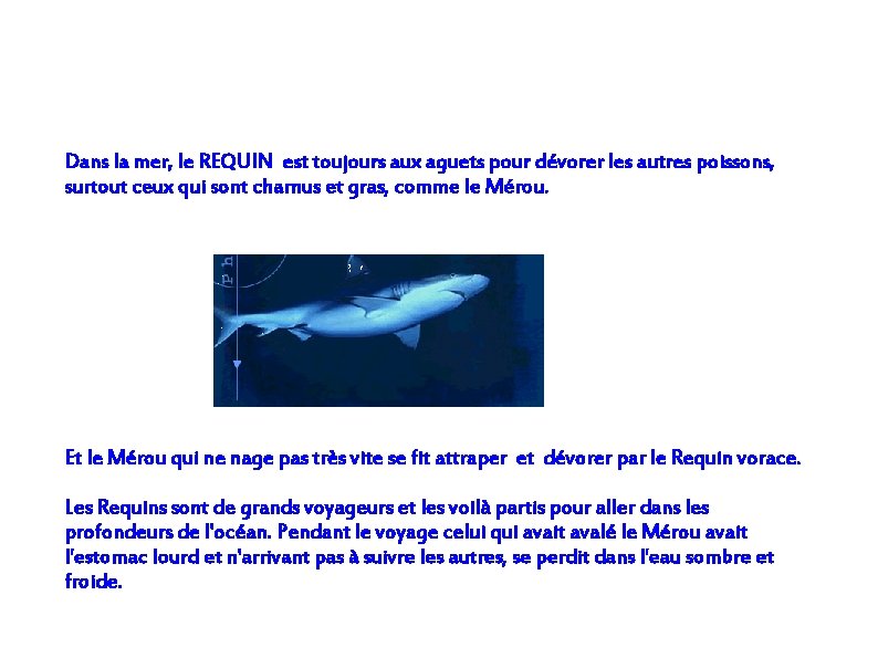 Dans la mer, le REQUIN est toujours aux aguets pour dévorer les autres poissons,