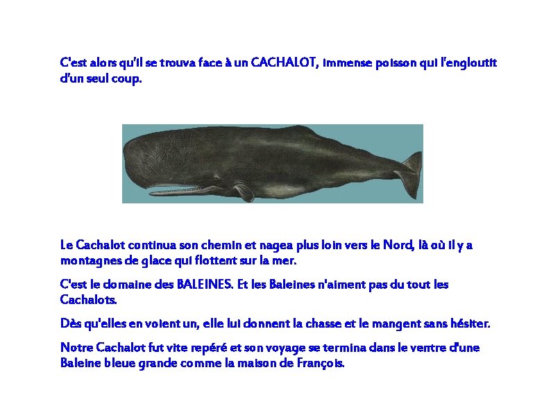 C'est alors qu'il se trouva face à un CACHALOT, immense poisson qui l'engloutit d'un