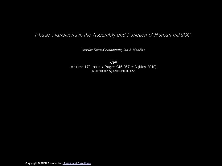 Phase Transitions in the Assembly and Function of Human mi. RISC Jessica Sheu-Gruttadauria, Ian