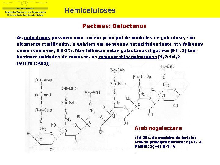 Hemiceluloses Pectinas: Galactanas As galactanas possuem uma cadeia principal de unidades de galactose, são