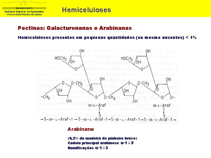 Hemiceluloses Pectinas: Galacturonanas e Arabinanas Hemiceluloses presentes em pequenas quantidades (ou mesmo ausentes) <