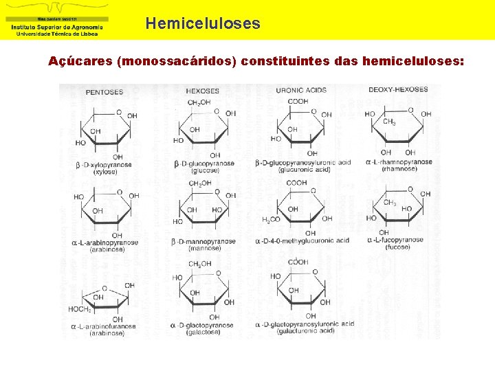 Hemiceluloses Açúcares (monossacáridos) constituintes das hemiceluloses: 