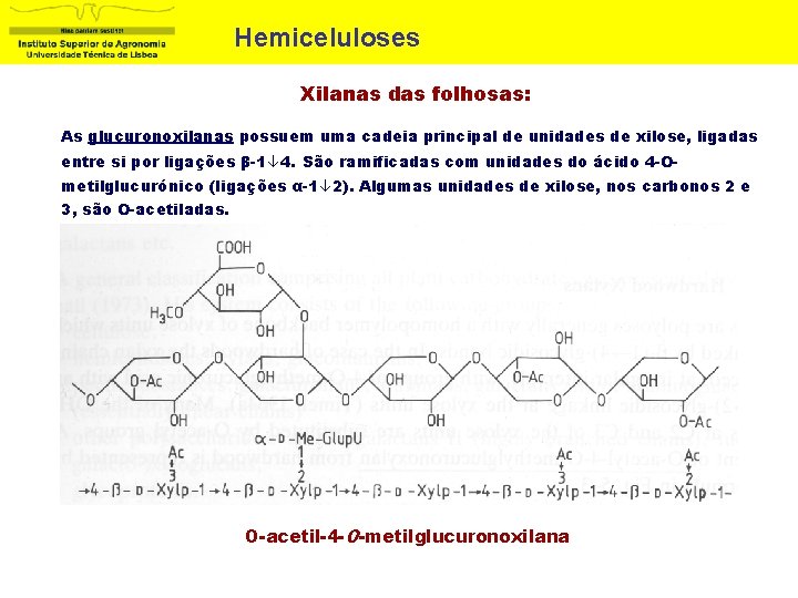 Hemiceluloses Xilanas das folhosas: As glucuronoxilanas possuem uma cadeia principal de unidades de xilose,