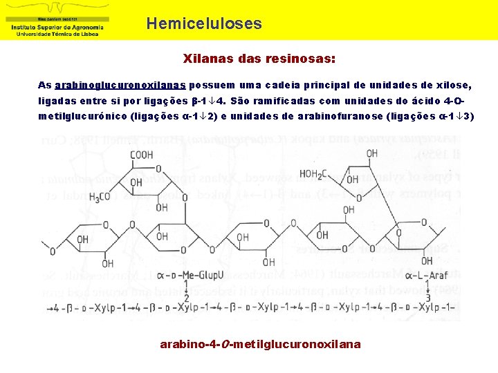 Hemiceluloses Xilanas das resinosas: As arabinoglucuronoxilanas possuem uma cadeia principal de unidades de xilose,