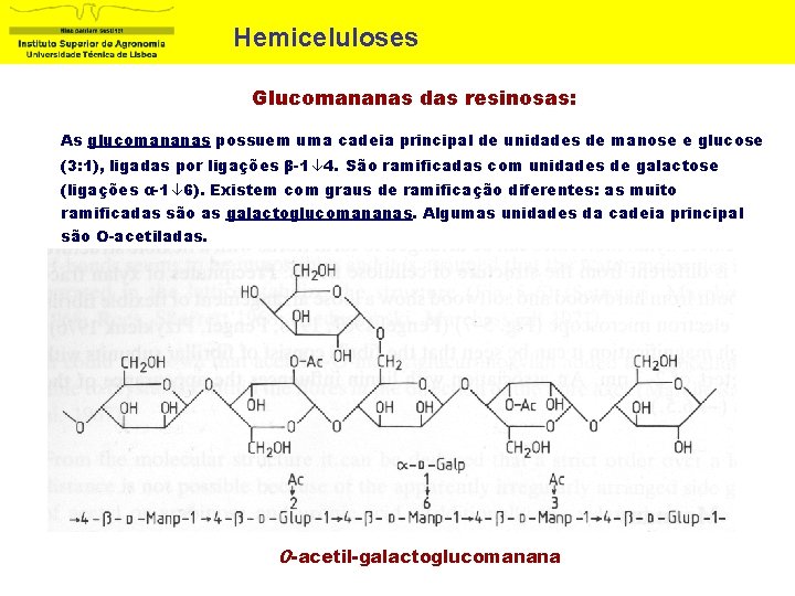 Hemiceluloses Glucomananas das resinosas: As glucomananas possuem uma cadeia principal de unidades de manose