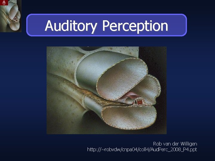 Auditory Perception Rob van der Willigen http: //~robvdw/cnpa 04/coll 4/Aud. Perc_2008_P 4. ppt 