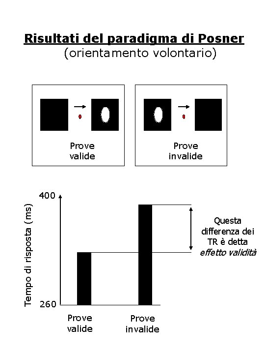 Risultati del paradigma di Posner (orientamento volontario) Prove valide Prove invalide Tempo di risposta Risultati del paradigma di Posner (orientamento volontario) Prove valide Prove invalide Tempo di risposta