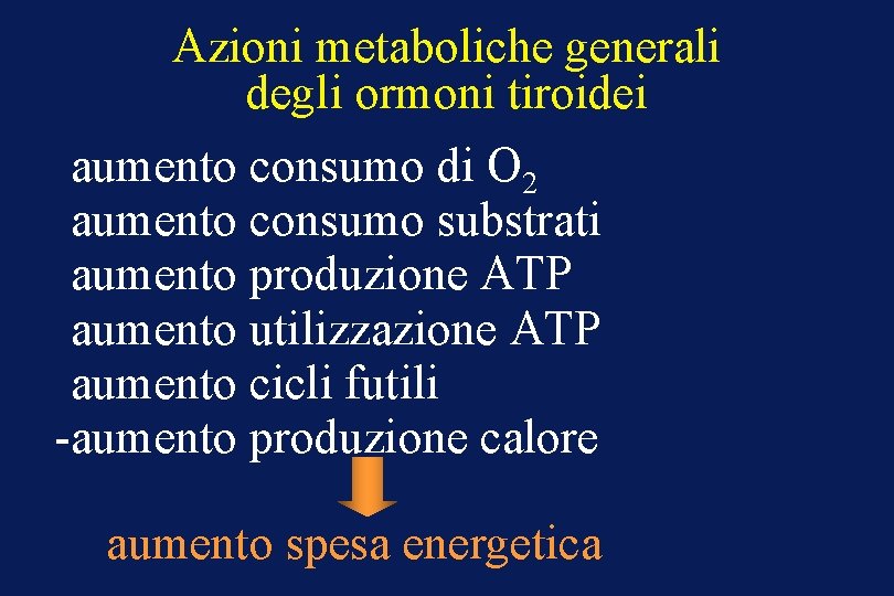 Azioni metaboliche generali degli ormoni tiroidei -aumento consumo di O 2 -aumento consumo substrati