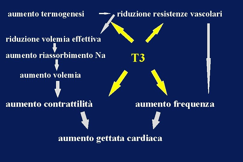 aumento termogenesi riduzione resistenze vascolari riduzione volemia effettiva aumento riassorbimento Na T 3 aumento