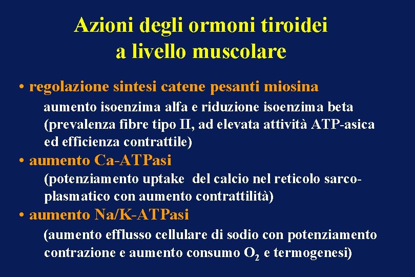 Azioni degli ormoni tiroidei a livello muscolare • regolazione sintesi catene pesanti miosina aumento