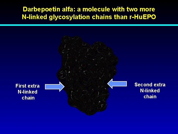 Darbepoetin alfa: a molecule with two more N-linked glycosylation chains than r-Hu. EPO First