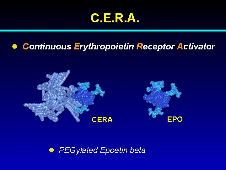  C. E. R. A. l Continuous Erythropoietin Receptor Activator CERA l PEGylated Epoetin
