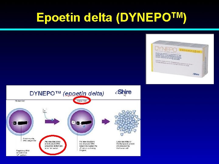  Epoetin delta (DYNEPOTM) 