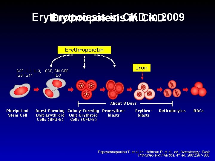 Erythropoiesis in CKD in 2009 Erythropoiesis in CKD Erythropoietin SCF, IL-1, IL-3, IL-6, IL-11