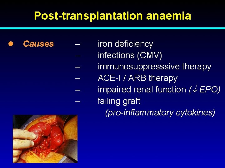 Post-transplantation anaemia l Causes – – – iron deficiency infections (CMV) immunosuppresssive therapy ACE-I