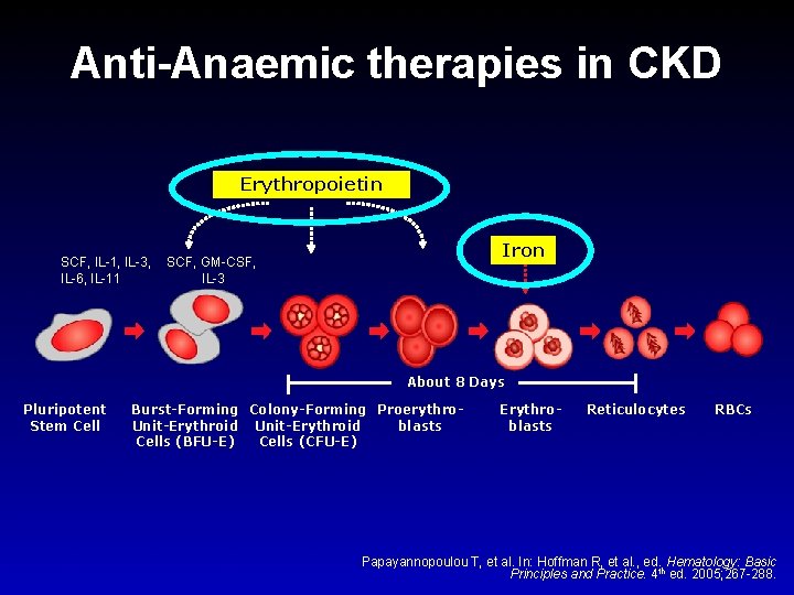 Anti-Anaemic therapies in CKD Erythropoietin SCF, IL-1, IL-3, IL-6, IL-11 Iron SCF, GM-CSF, IL-3