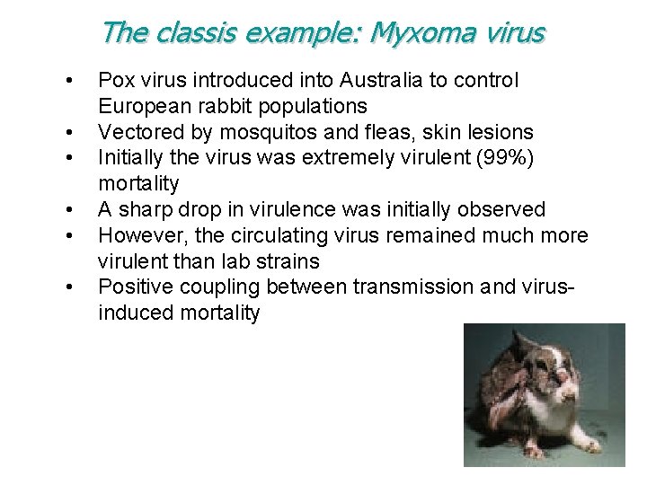 The classis example: Myxoma virus • • • Pox virus introduced into Australia to