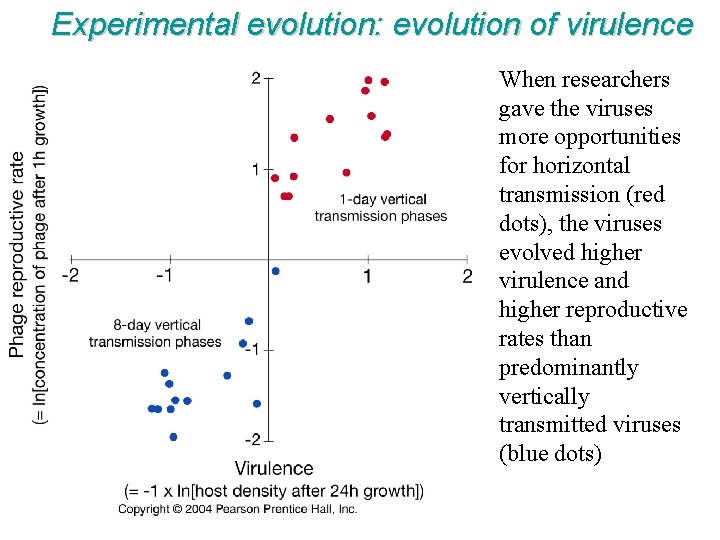 Experimental evolution: evolution of virulence When researchers gave the viruses more opportunities for horizontal
