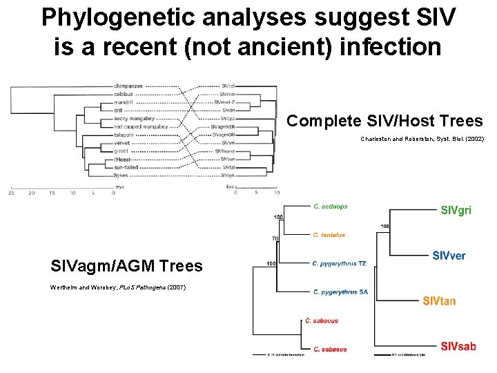 Phylogenetic analyses suggest SIV is a recent (not ancient) infection Complete SIV/Host Trees Charleston