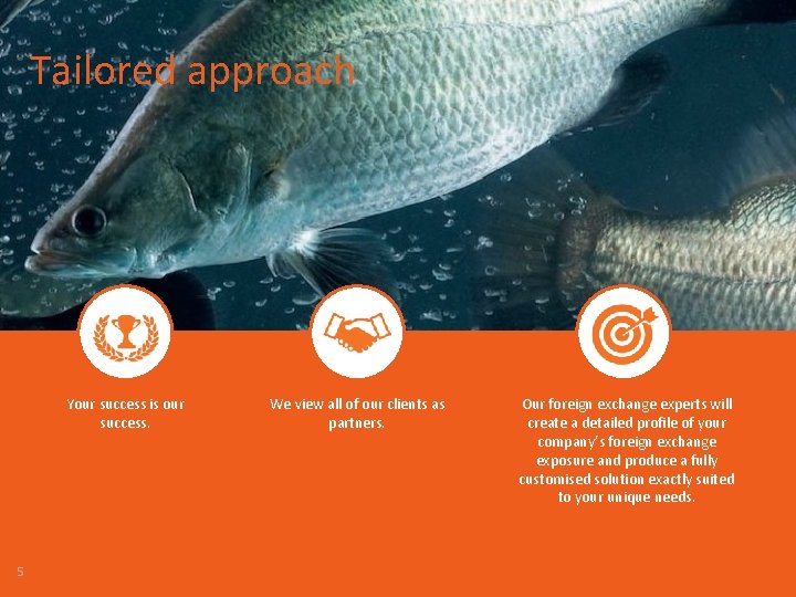Tailored approach Your success is our success. 5 We view all of our clients