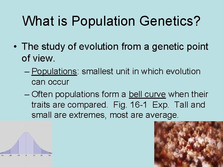 What is Population Genetics? • The study of evolution from a genetic point of