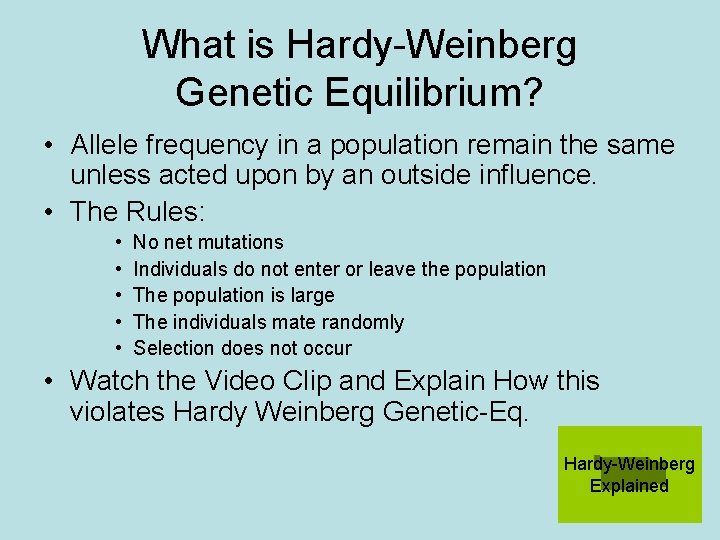 What is Hardy-Weinberg Genetic Equilibrium? • Allele frequency in a population remain the same