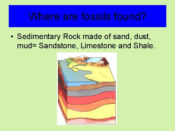 Where are fossils found? • Sedimentary Rock made of sand, dust, mud= Sandstone, Limestone