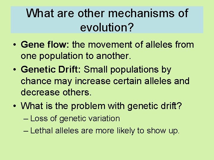 What are other mechanisms of evolution? • Gene flow: the movement of alleles from