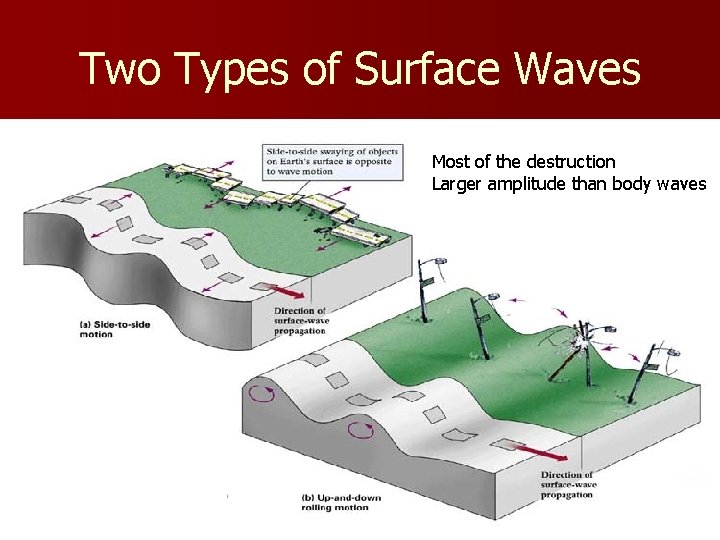 Two Types of Surface Waves Most of the destruction Larger amplitude than body waves