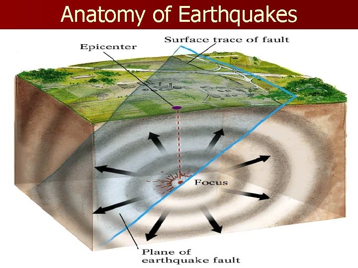 Anatomy of Earthquakes 