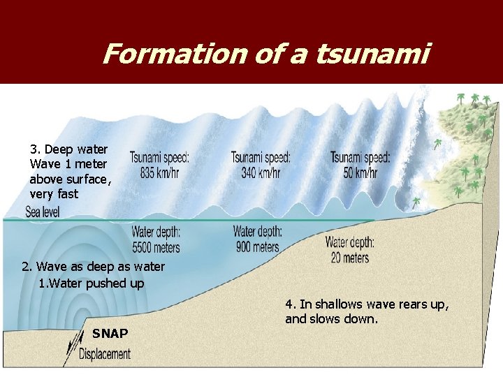 Formation of a tsunami 3. Deep water Wave 1 meter above surface, very fast Formation of a tsunami 3. Deep water Wave 1 meter above surface, very fast