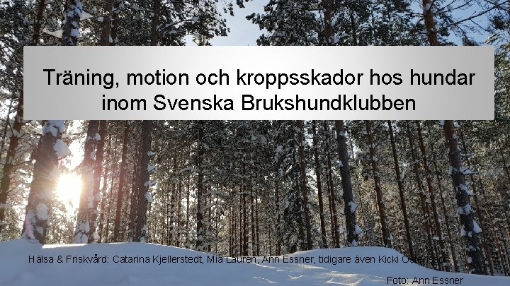 Träning, motion och kroppsskador hos hundar inom Svenska Brukshundklubben Hälsa & Friskvård: Catarina Kjellerstedt,