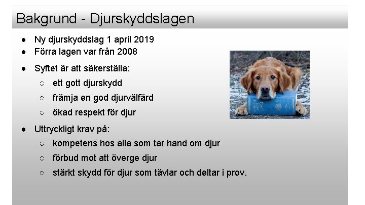 Bakgrund - Djurskyddslagen ● Ny djurskyddslag 1 april 2019 ● Förra lagen var från