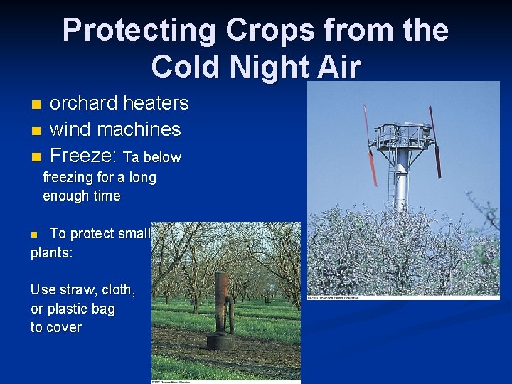 Protecting Crops from the Cold Night Air n n n orchard heaters wind machines