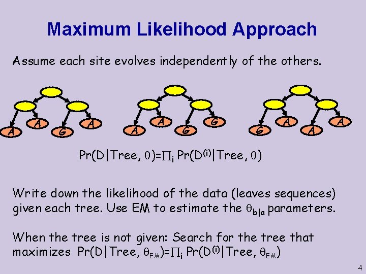 Maximum Likelihood Approach Assume each site evolves independently of the others. A A G