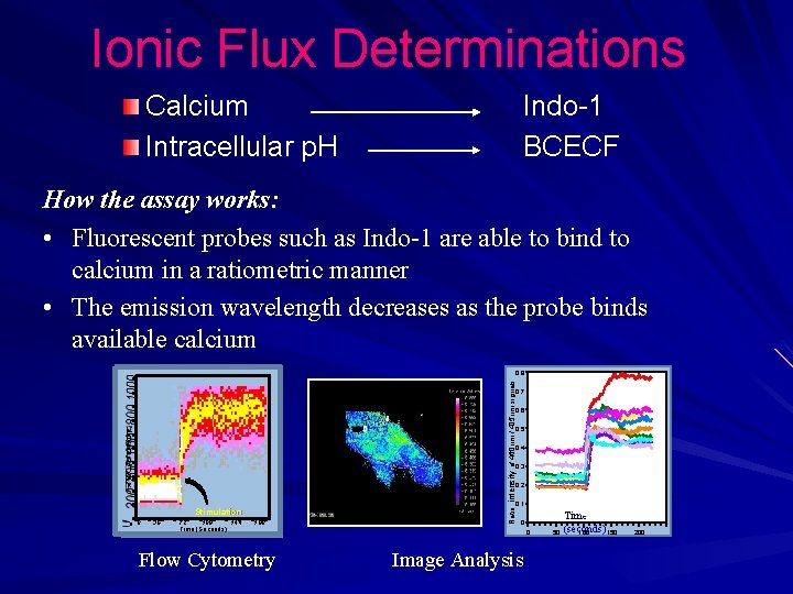 Ionic Flux Determinations Calcium Intracellular p. H Indo-1 BCECF How the assay works: • Ionic Flux Determinations Calcium Intracellular p. H Indo-1 BCECF How the assay works: •