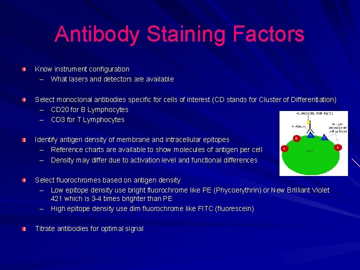 Antibody Staining Factors Know instrument configuration – What lasers and detectors are available Select Antibody Staining Factors Know instrument configuration – What lasers and detectors are available Select