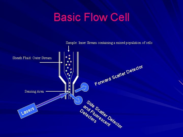 Basic Flow Cell Sample: Inner Stream containing a mixed population of cells Sheath Fluid: Basic Flow Cell Sample: Inner Stream containing a mixed population of cells Sheath Fluid: