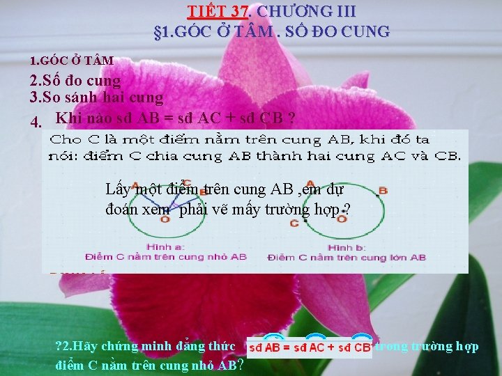 TIẾT 37. CHƯƠNG III § 1. GÓC Ở T M. SỐ ĐO CUNG 1.