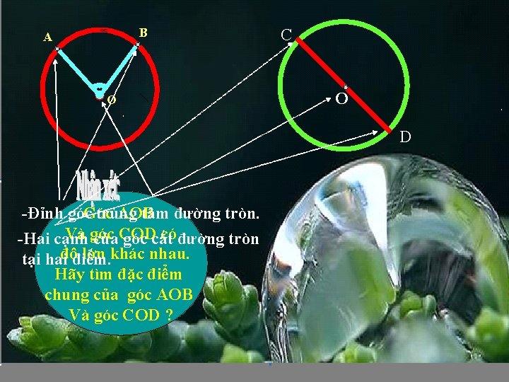 B A O C O D Góc AOB -Đỉnh góc trùng tâm đường tròn.