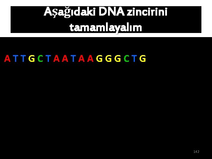 Aşağıdaki DNA zincirini tamamlayalım ATTGCTAATAAGGGCTG 142 Aşağıdaki DNA zincirini tamamlayalım ATTGCTAATAAGGGCTG 142
